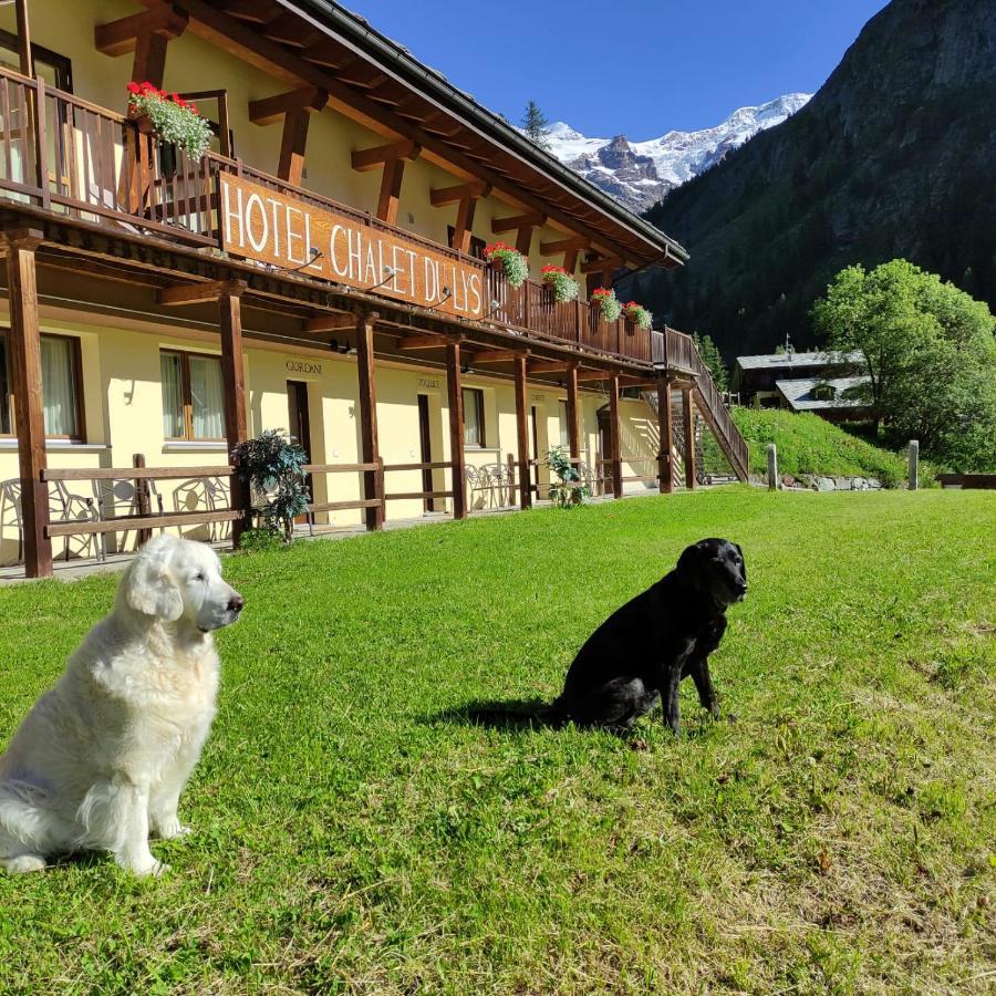 Chalet du Lys Hotel&SPA Gressoney-la-Trinité Exteriér fotografie